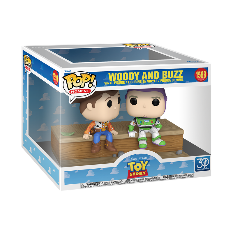 Pop! Moment Woody and Buzz (30th Anniversary)