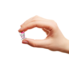 Bitty Pop! Rides Hello Kitty in Racecar